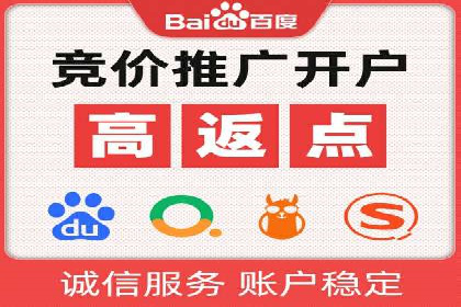 成功运用SEM服务实现品牌快速成长的案例